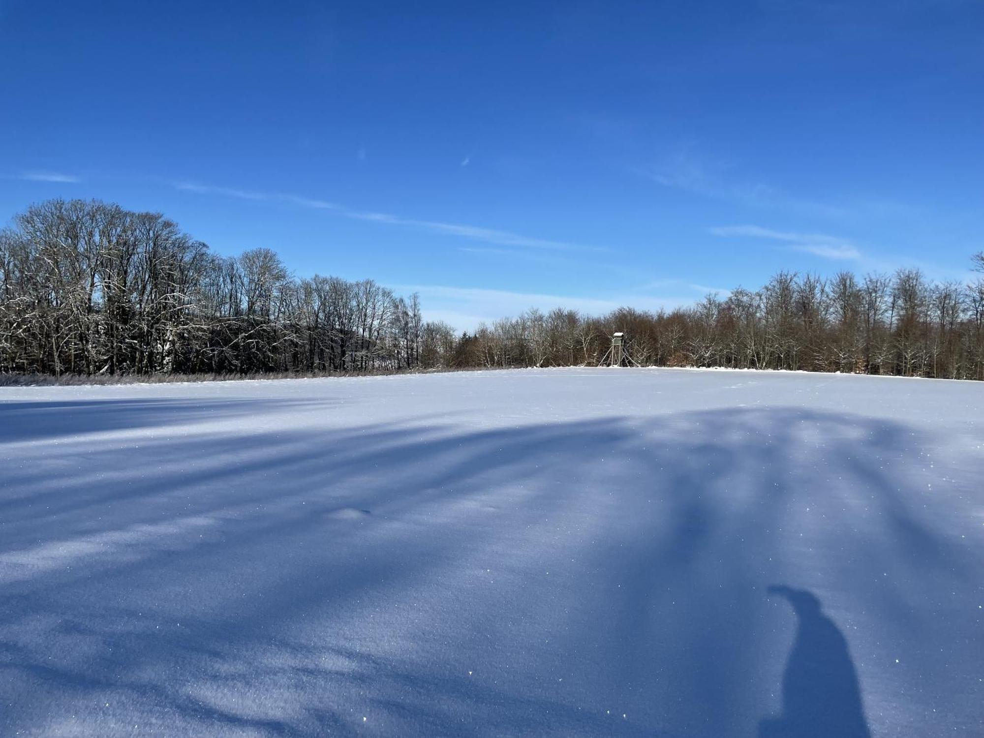 Gittas Paradiesperle * Niederdreisbach