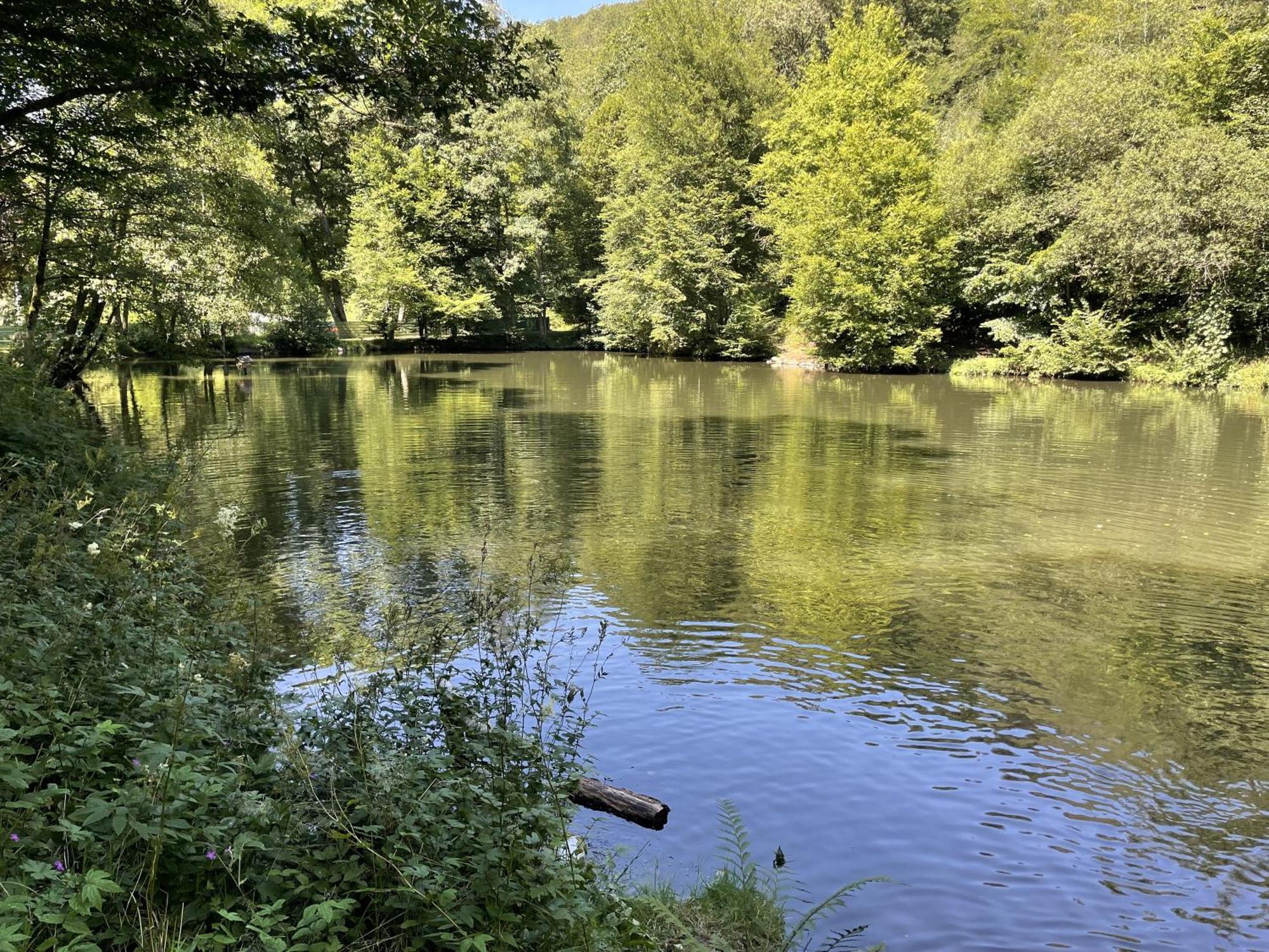 Gittas Paradiesperle Niederdreisbach