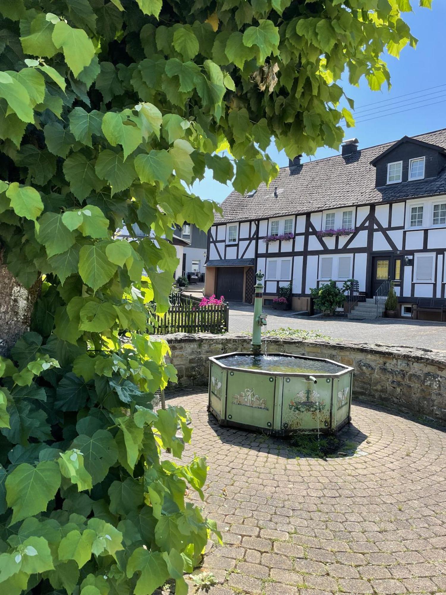 Gittas Paradiesperle Apartment Niederdreisbach